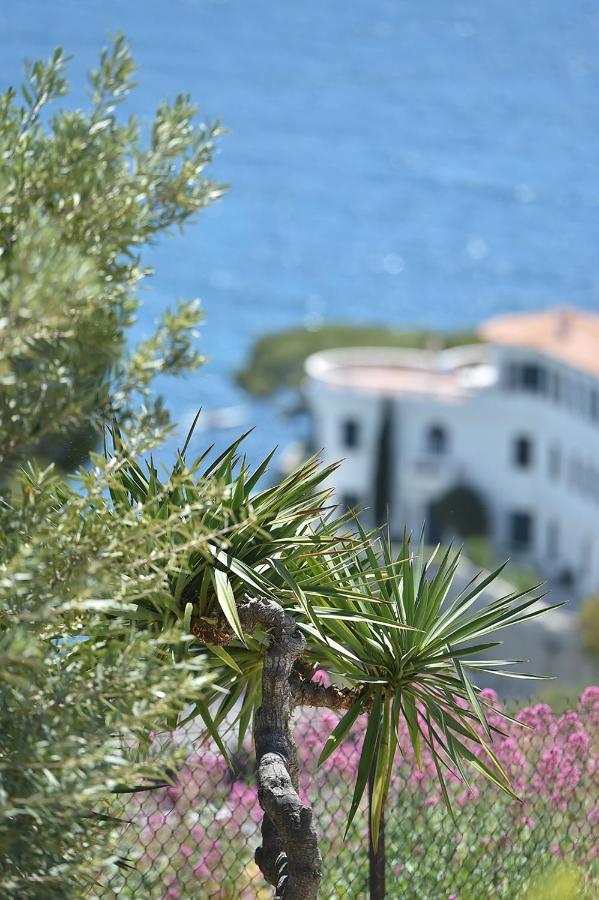 Le Son Des Vagues Vue Mer Cassis Exterior photo
